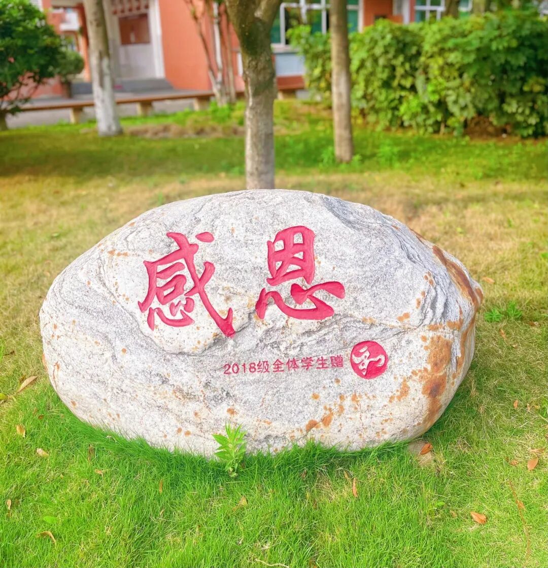 四川大学附属中学新城分校教师招聘公告