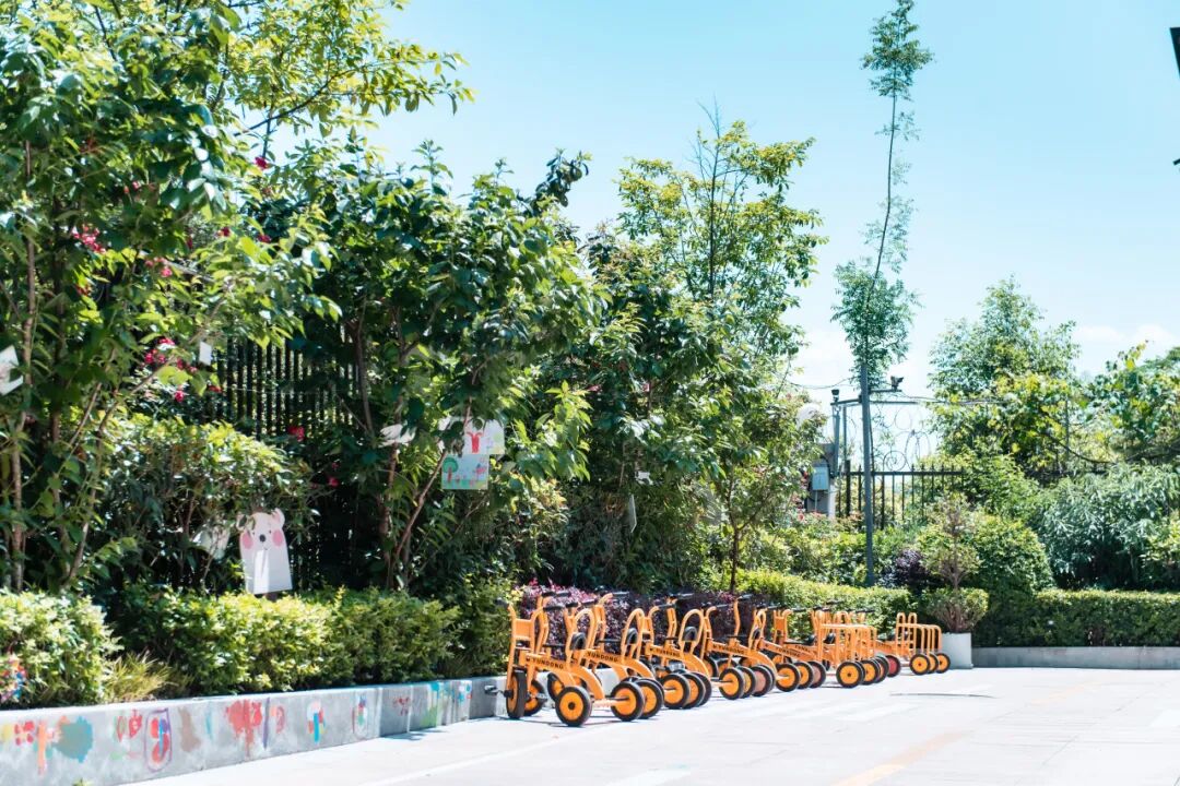 四川天府新区第十二幼儿园2025年教师招聘公告