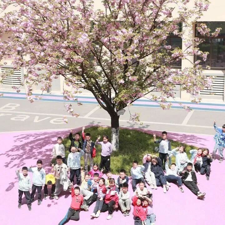 成都市双流区九江新城小学2026年储备教师招聘公告