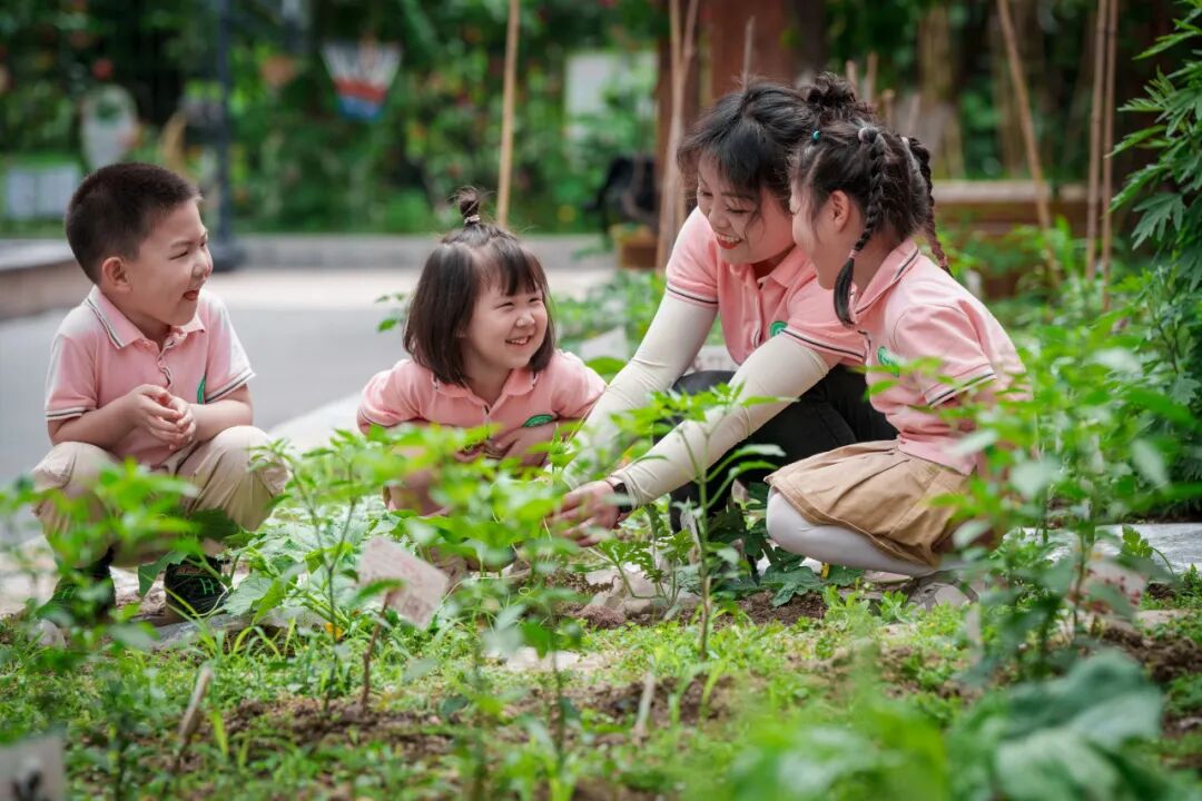 四川天府新区第十二幼儿园2025年教师招聘公告