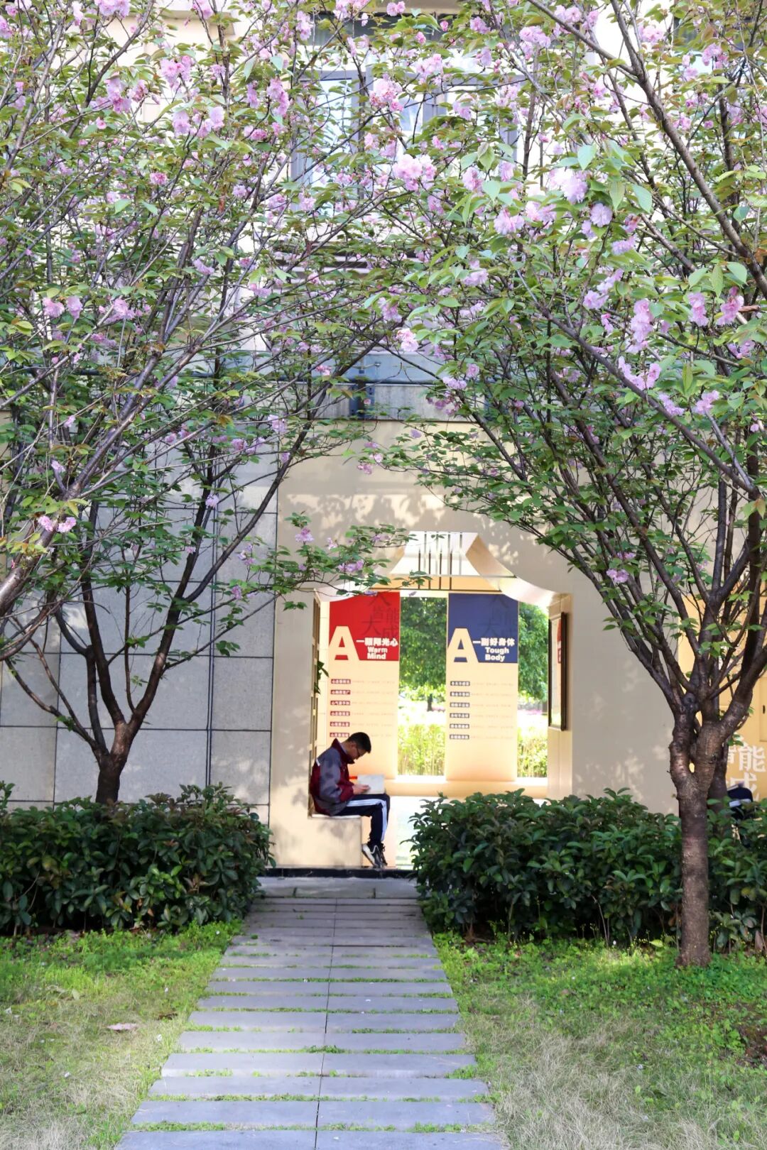 杨家坪中学2025-2026学年教师招聘