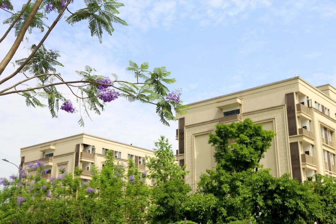 杨家坪中学2025-2026学年教师招聘