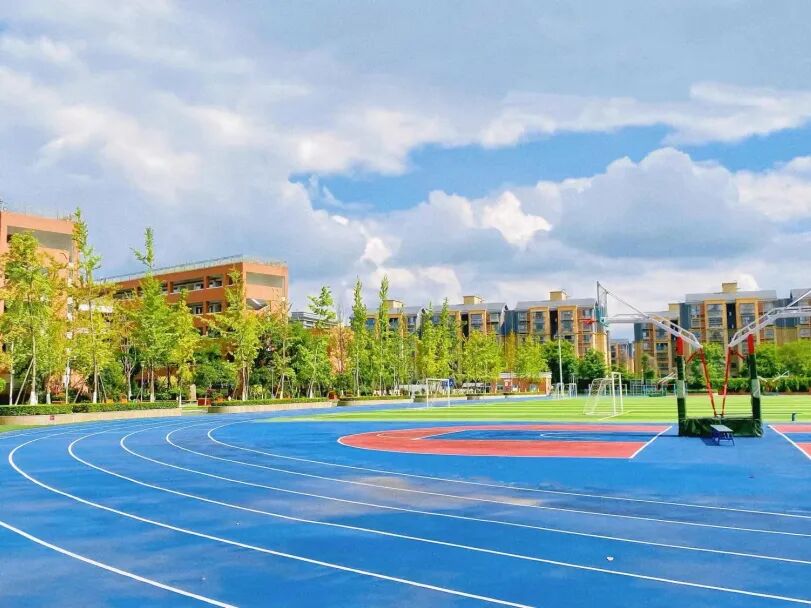 四川大学附属中学新城分校教师招聘公告