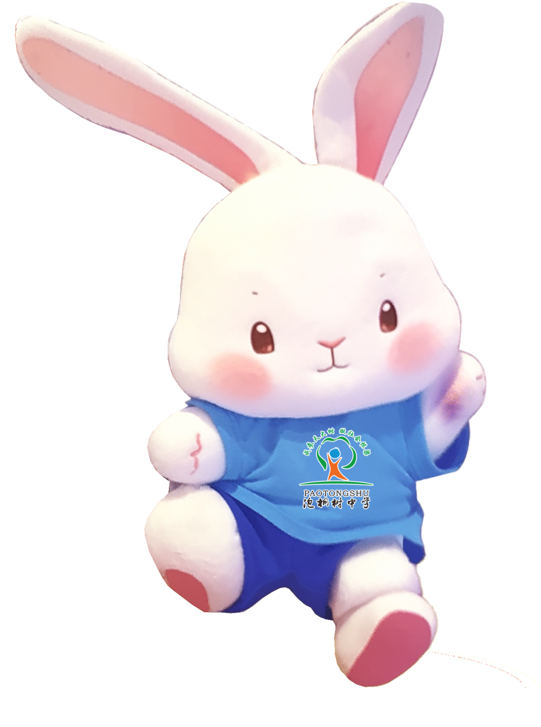 成都市泡桐树中学教师招聘公告