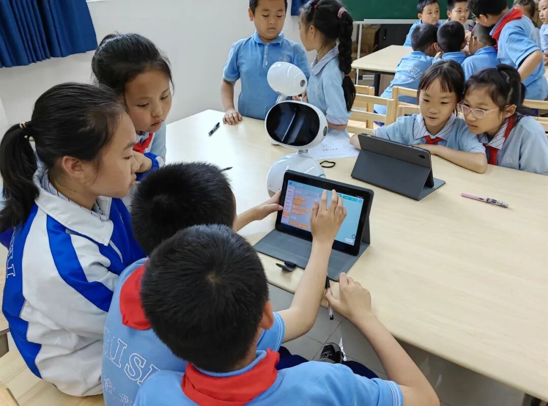 成都石室中学初中学校储备教师公告