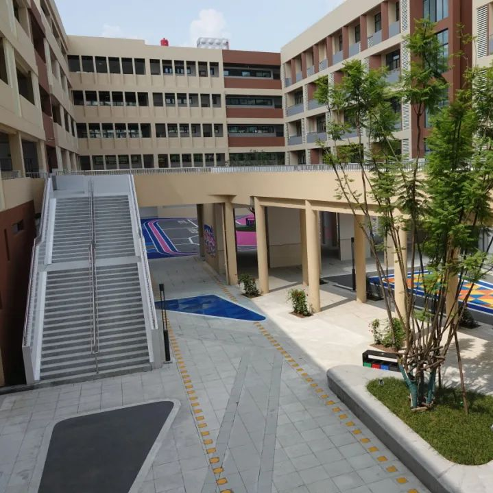 成都市双流区九江新城小学2026年储备教师招聘公告