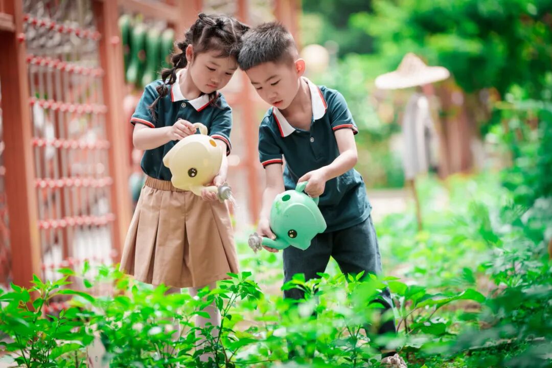 四川天府新区第十二幼儿园2025年教师招聘公告