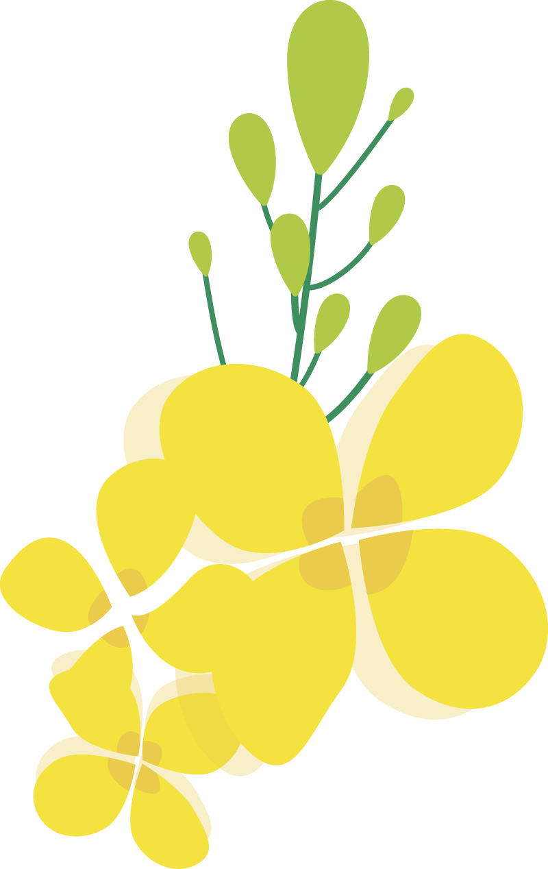 成都市双流区九江新城小学2026年储备教师招聘公告