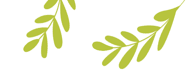 营山县红光幼儿园招聘公告