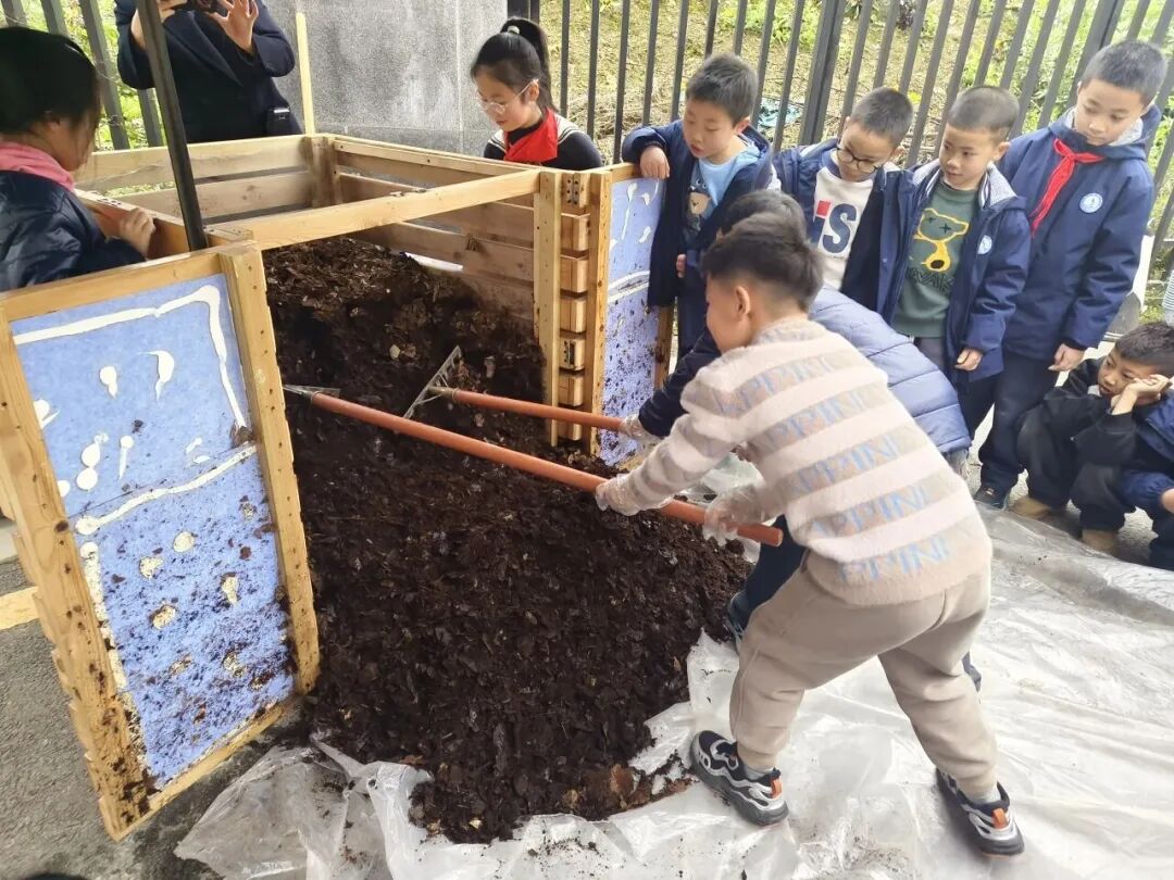 成都市双流区九江新城小学2026年储备教师招聘公告