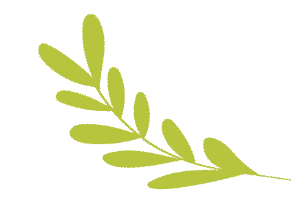 营山县红光幼儿园招聘公告