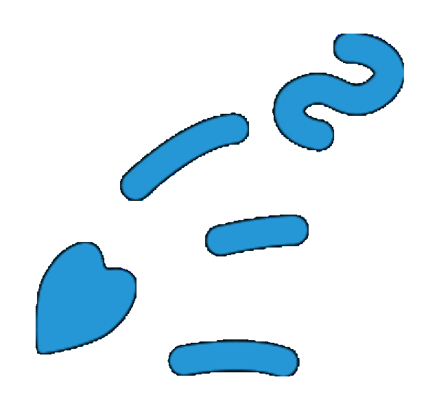 成都市泡桐树中学教师招聘公告