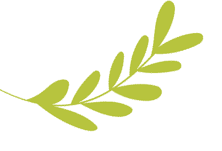 营山县红光幼儿园招聘公告