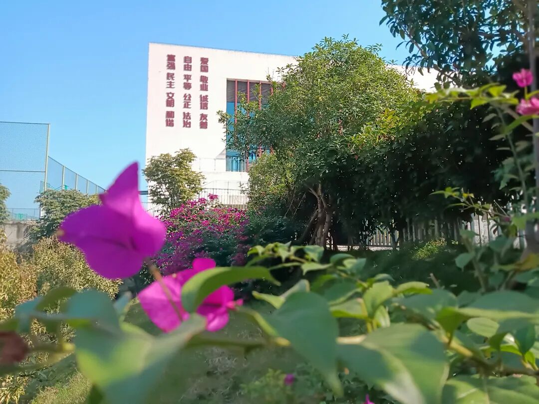 简阳市射洪坝第一初级中学2026年城镇公益性岗位公开招聘公告