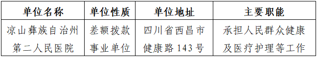 凉山彝族自治州第二人民医院2026年公开招聘编制外工作人员的公告