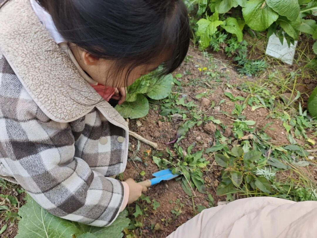 屏山县新安镇中心幼儿园教师招聘公告