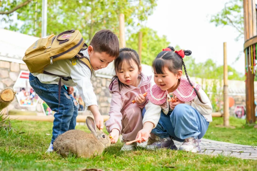 成都市双流区黄龙溪幼儿园招聘教师和保育员各1名