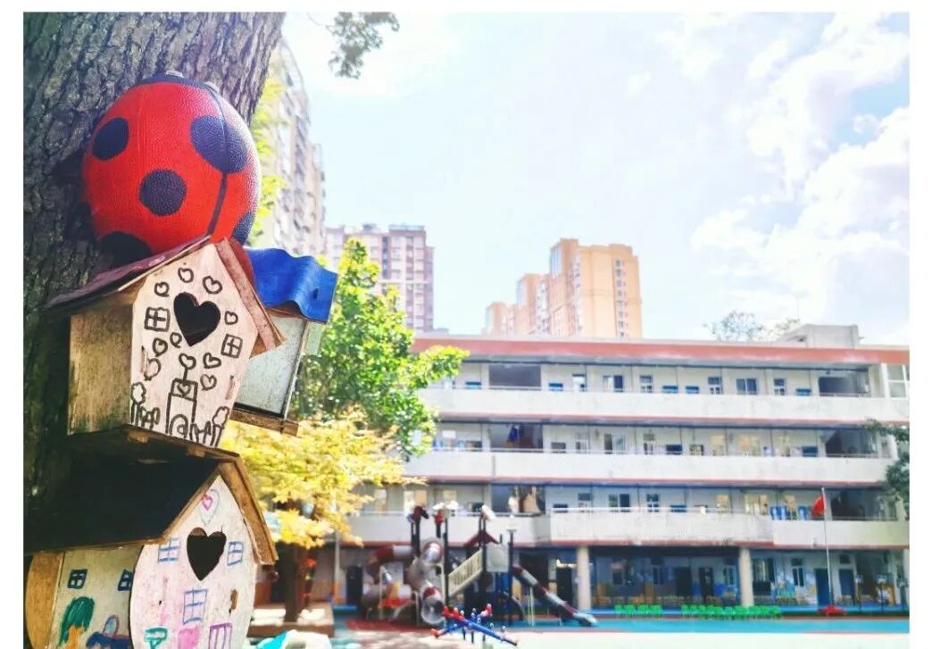 简阳市简城绛溪幼儿园2026年面向社会公开招聘教师公告